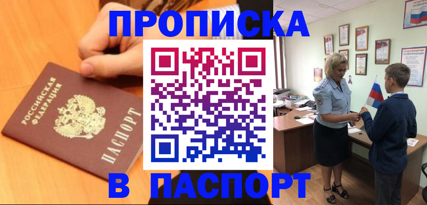 пропишу в квартире в Светлогорске